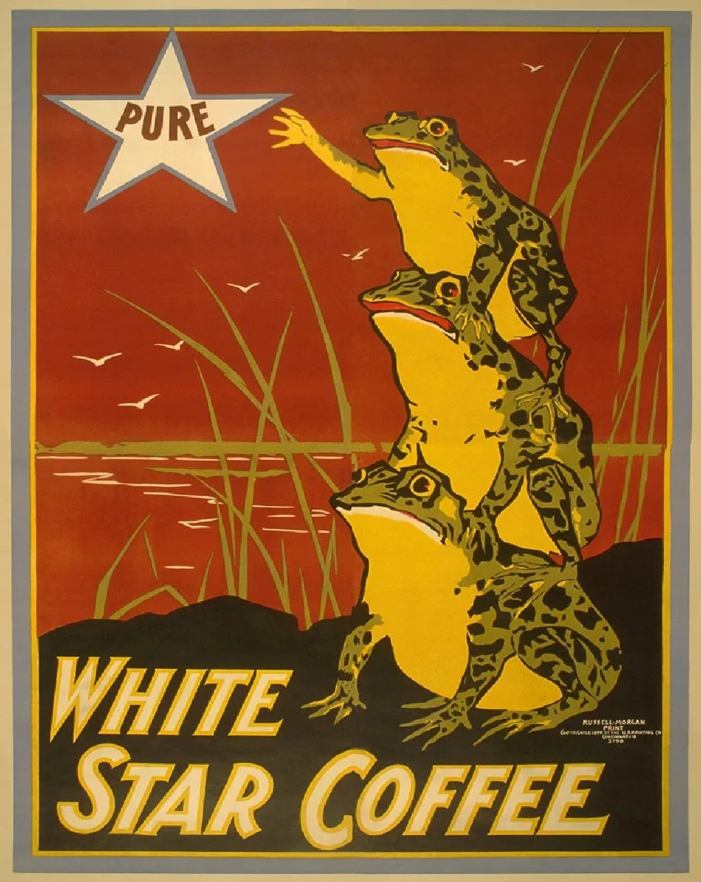 White Star Pure Coffee Vintage Art Reproduction Poster 24" x 36"