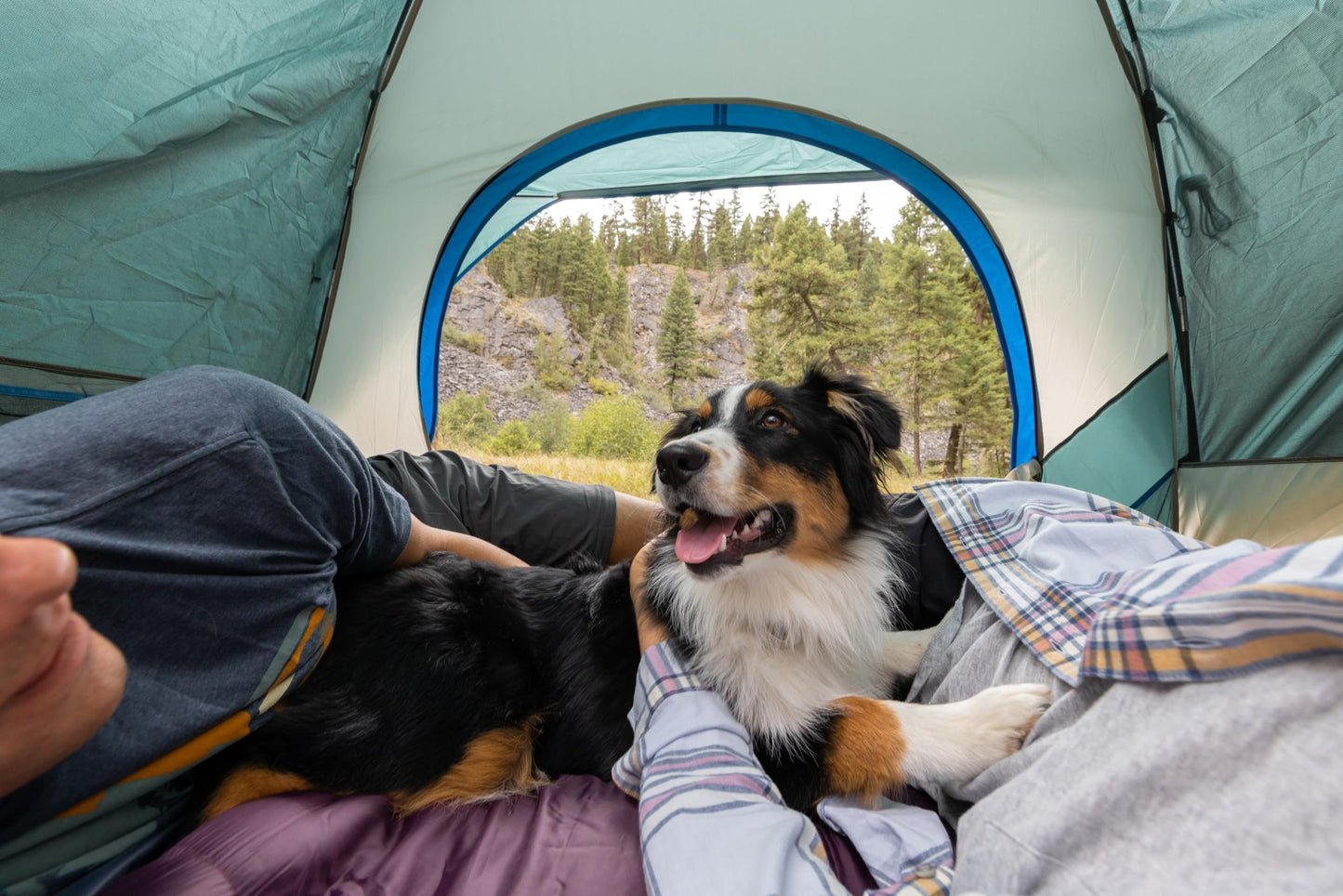 Coleman 4-Person Skydome™ Camping Tent - Evergreen (2206908)