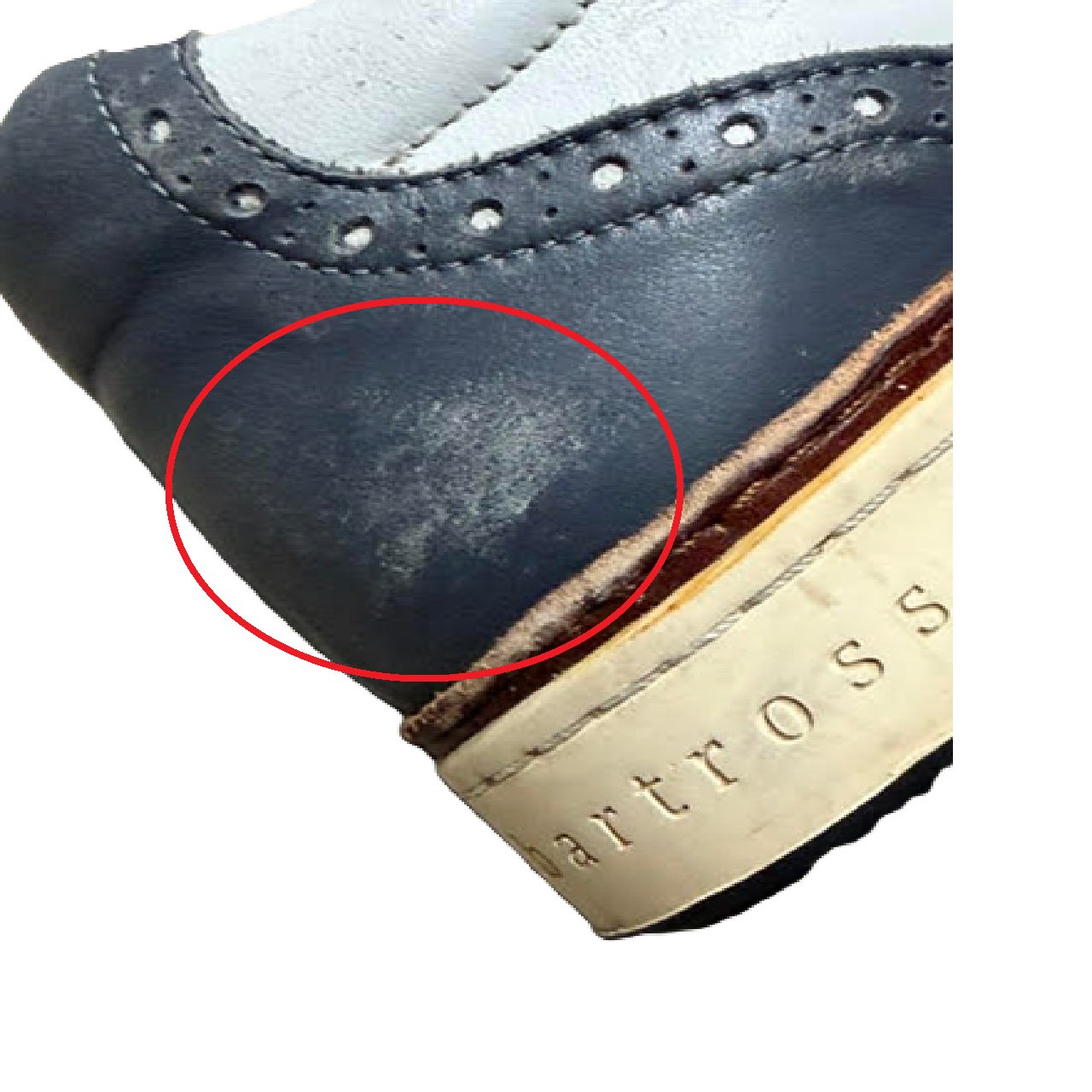 Royal Albartross Kingsman Spikeless Golf Shoes Men's 10/43 BM1