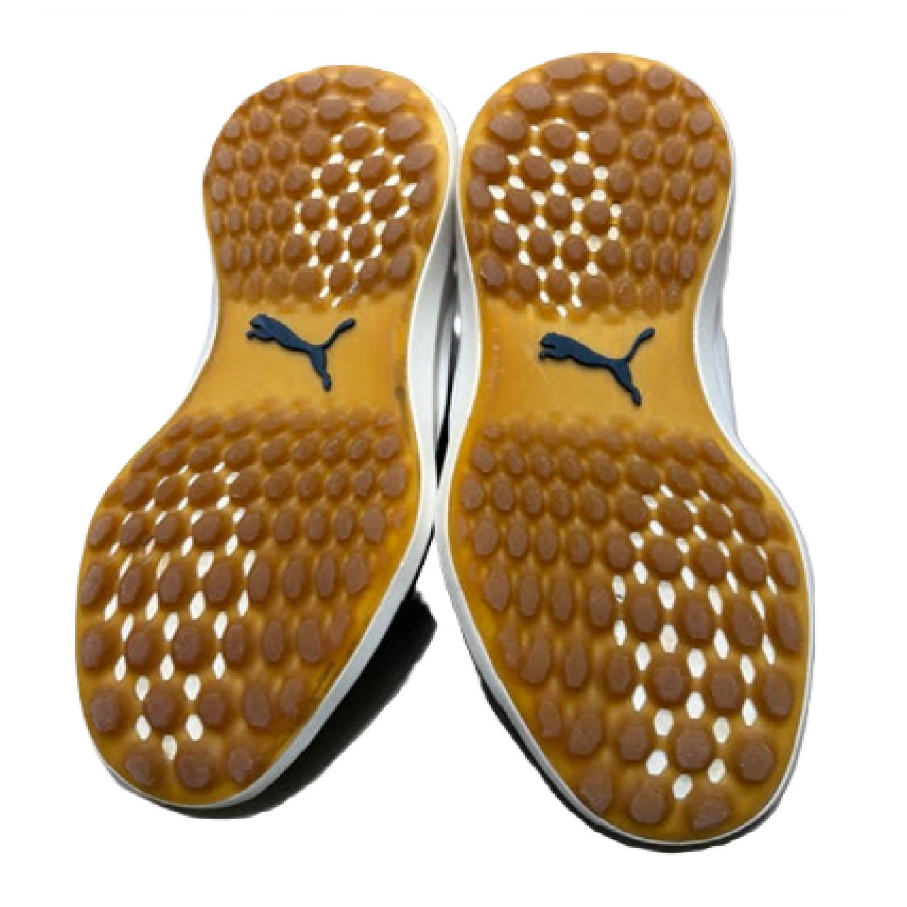 PUMA Men's Ignite Nxt Lace spikeless Golf Shoe Blue US 11 BM1