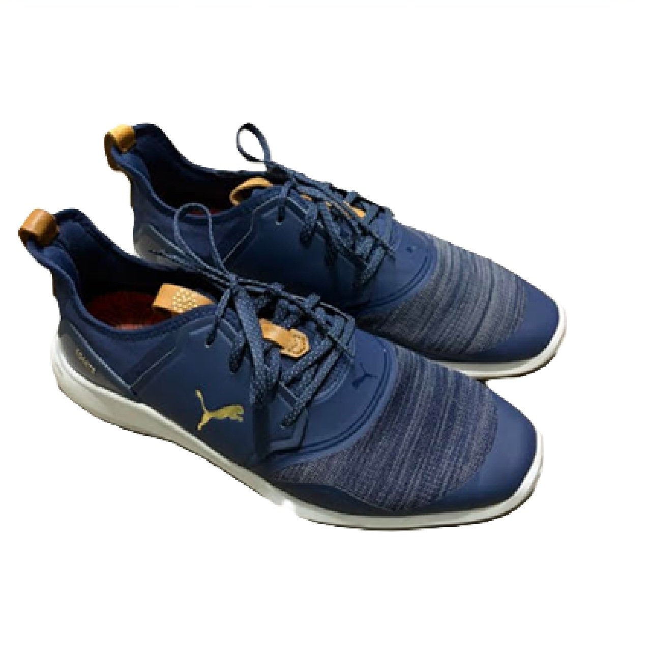 PUMA Men's Ignite Nxt Lace spikeless Golf Shoe Blue US 11 BM1