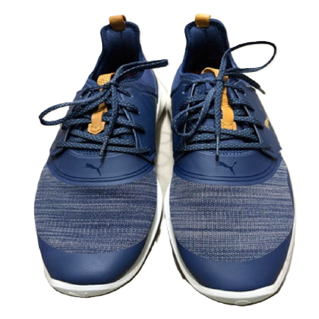 PUMA Men's Ignite Nxt Lace spikeless Golf Shoe Blue US 11 BM1