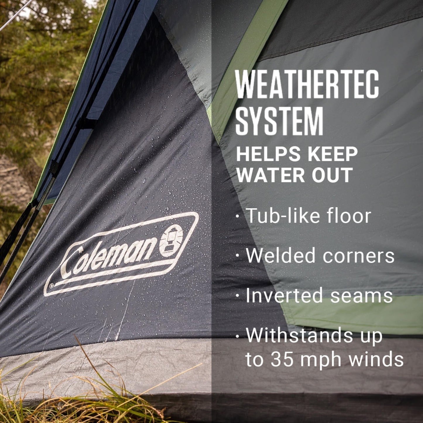 Coleman 6-Person Skydome™ Camping Dome Tent - Blackberry (2207024)