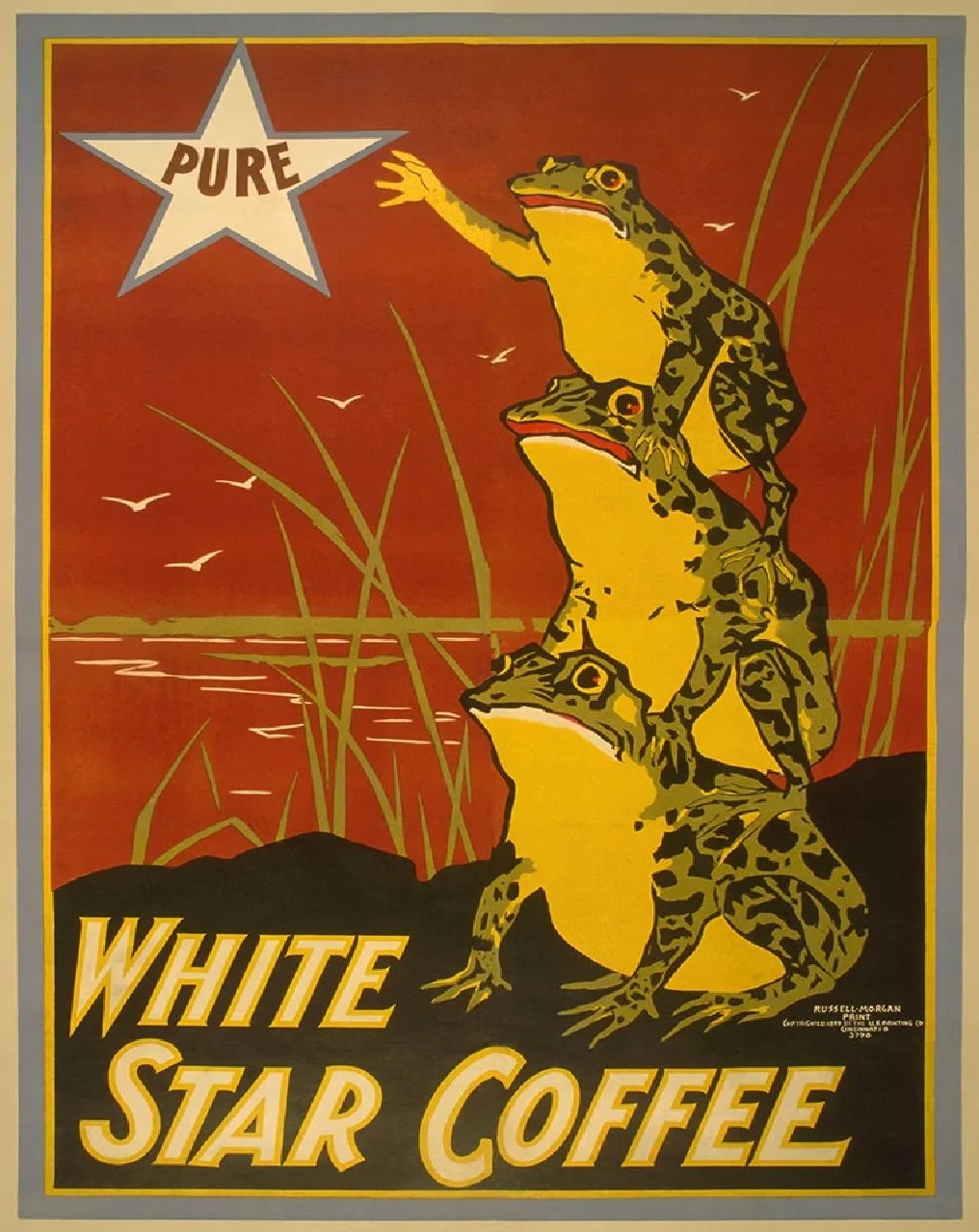 White Star Pure Coffee Vintage Art Reproduction Poster 24" x 36"