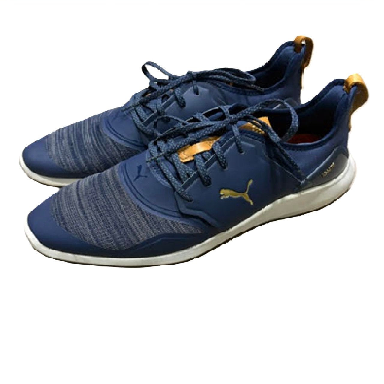 PUMA Men's Ignite Nxt Lace spikeless Golf Shoe Blue US 11 BM1