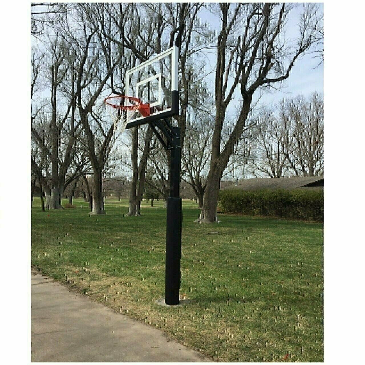 First Team Champ II Basketball Goal Adjustable Height Bolt Down w/36x48 acrylic