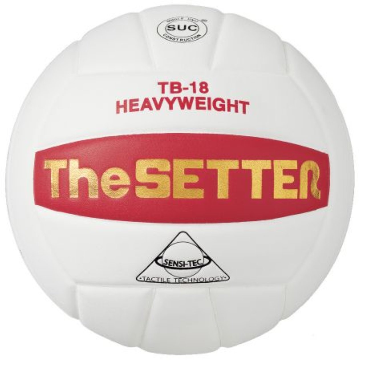 Tachikara "The Setter" Heavyweight Training Volleyball-TB18