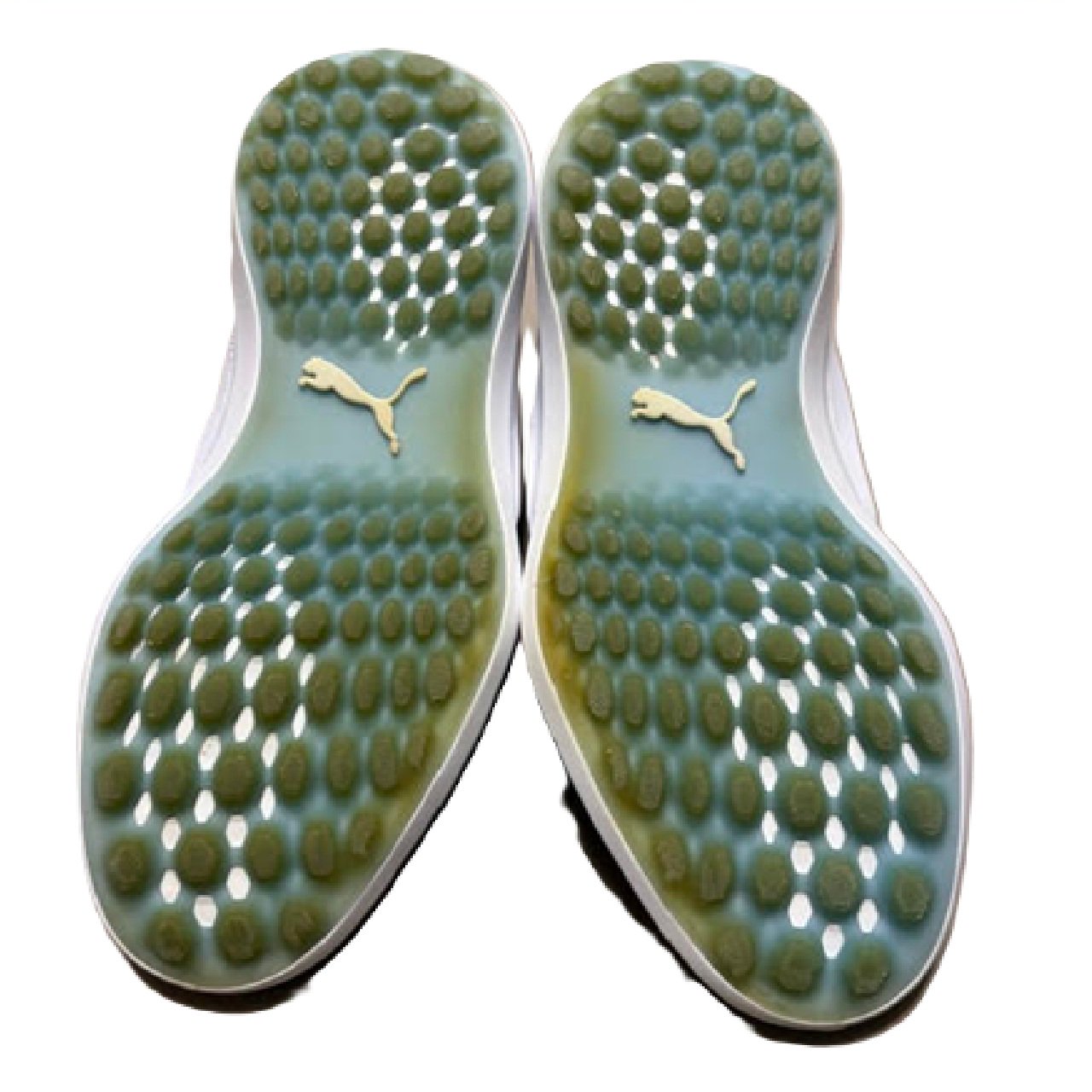 PUMA Men's Ignite Nxt Lace spikeless Golf Shoe White US 11 BM1