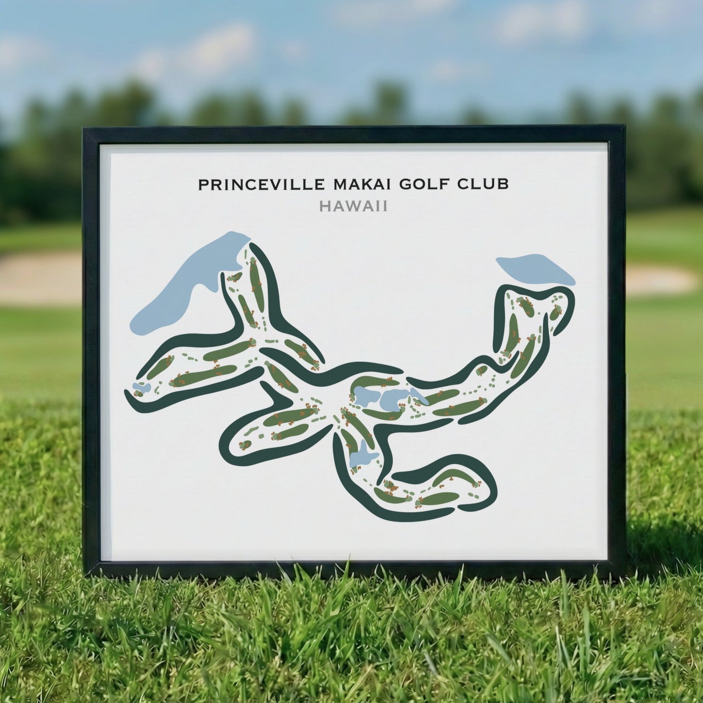 Princeville Makai Golf Club, Hawaii - Printed Golf Courses